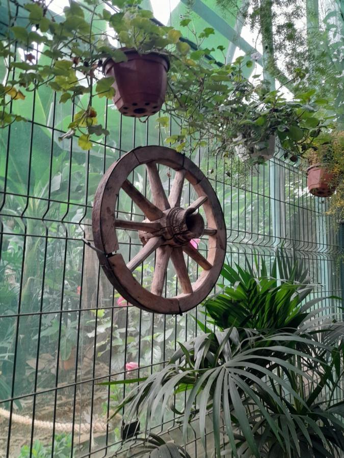 Tenerife Homestay San Miguel de Abona Buitenkant foto